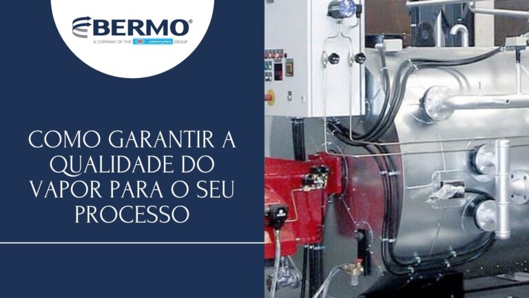 Garanta a qualidade do vapor em seu processo