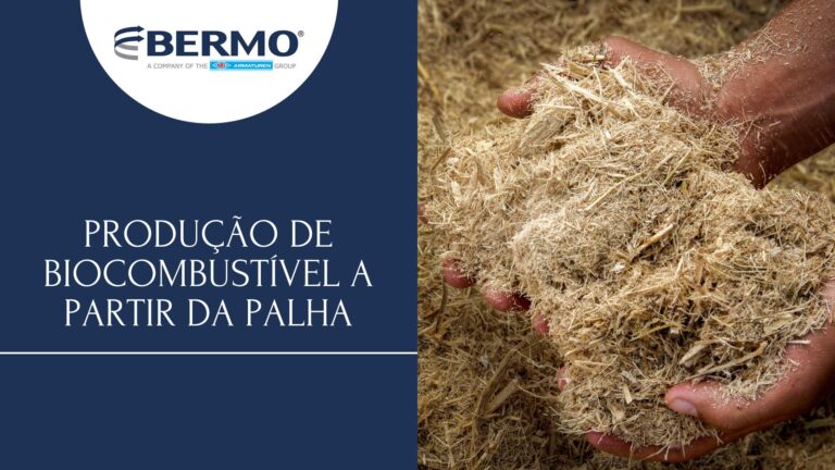 Produção de Biocombustível a partir da Palha